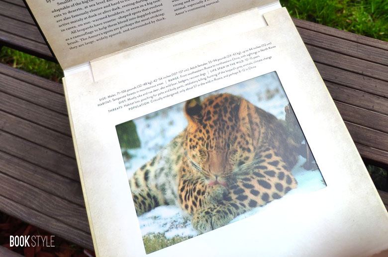 Wild - Photicular Book. Animale pe cale de dispariție, de Dan Kainen și Kathy Wollard