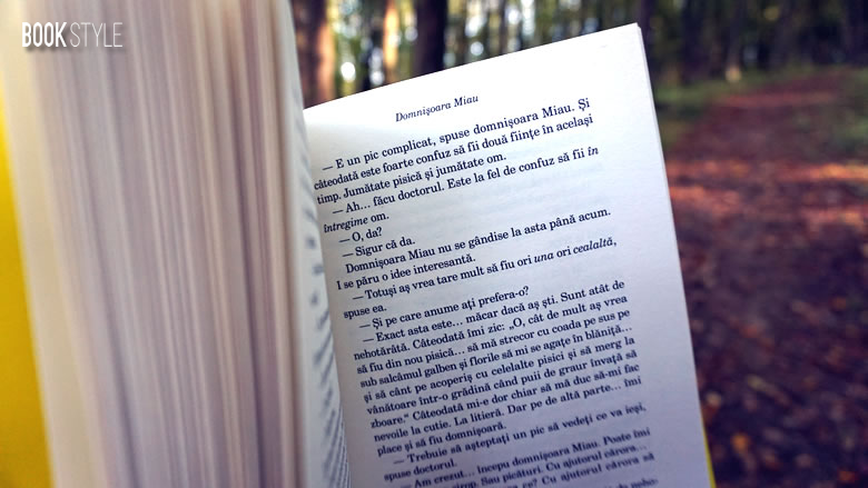 Domnișoara Miau, de Annie M.G. Schmidt | Editura Arthur