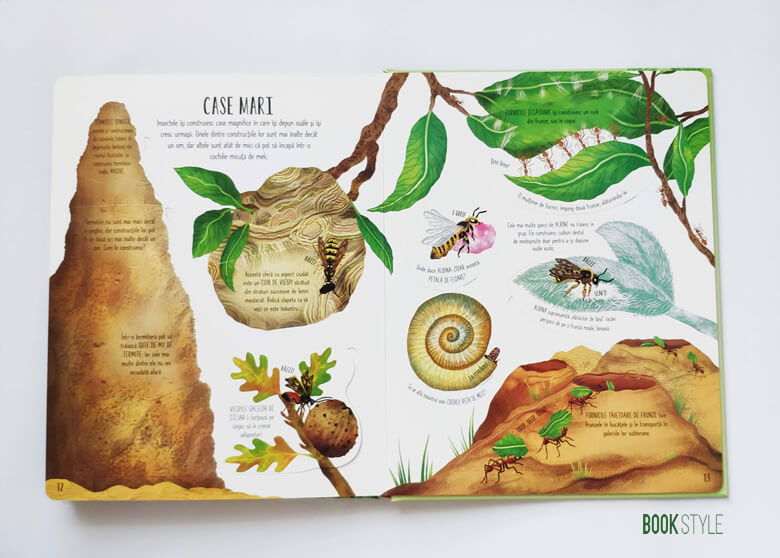 Carte cu clapete: Fluturi și alte insecte, de Emily Bone – Colecția Usborne | Univers Enciclopedic